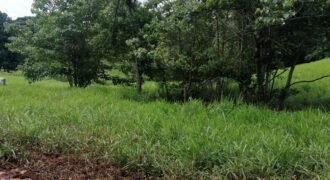 Beautiful farm in San Juanillo (2.4 hectares)