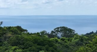 14 hectareas montain and ocean view