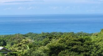 Breathtaking Ocean View Land for Sale: A Truly Unique Opportunity