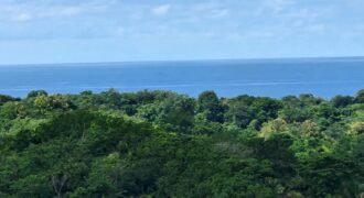 Prime Ocean View Land: Ideal for Development