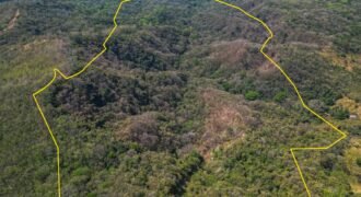 237.221 acres/ 96 hectares /Ocean view/ Valley view