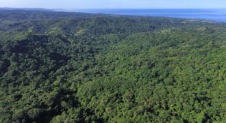 82 hectares, River, ocean view