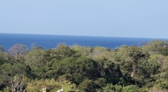 1.3 HECTARES/ Ocean view/ Altamira